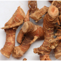 New product Wholesale alpinia galangal with competitive price